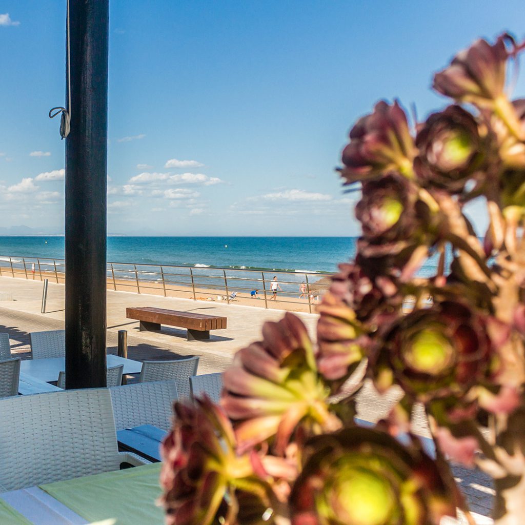 Restaurant review: Restaurante Vela Beach, La Mata, Torrevieja