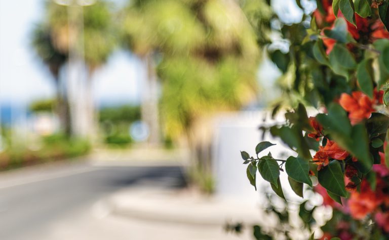 Household and garden refuse collection services for Orihuela Costa