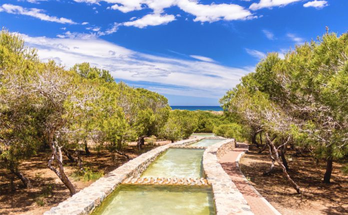 Parque del Molino del Agua, Torrevieja