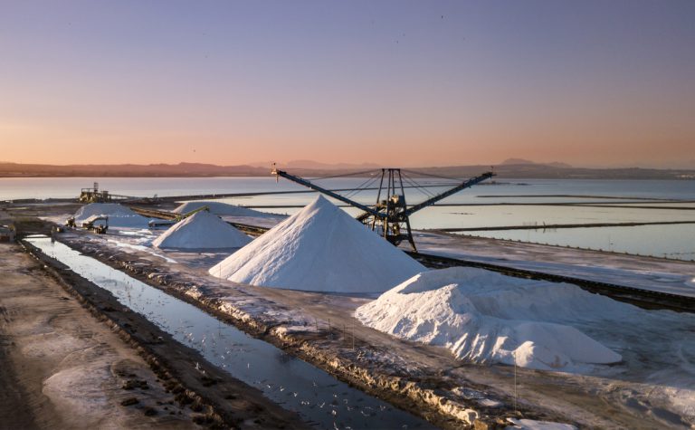 Torrevieja salt lakes tourist tours