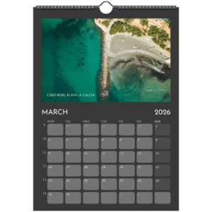 2026 LaZenia Wall Calendar (Dark Mode)