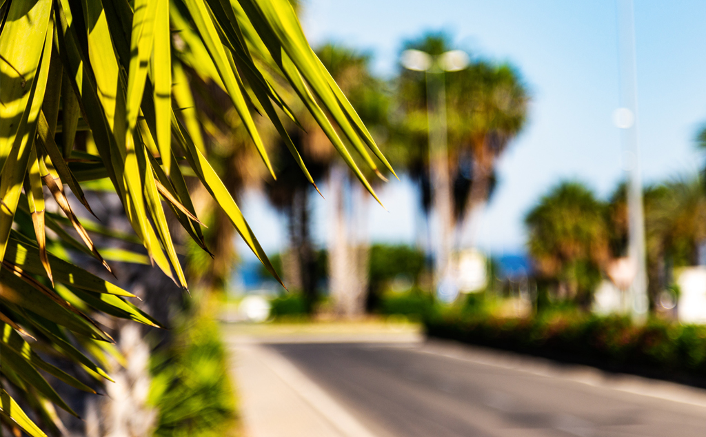 Bicycle hire and electric e-bike rental in Costa Blanca